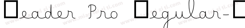 Reader Pro Regular字体转换